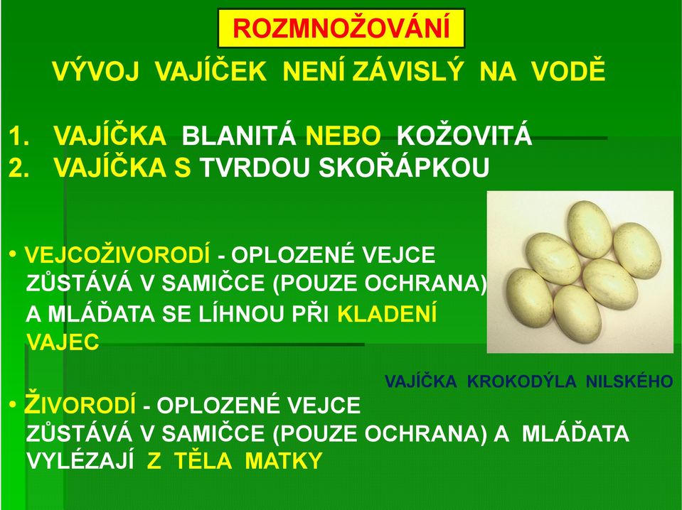 OCHRANA) A MLÁĎATA SE LÍHNOU PŘI KLADENÍ VAJEC ŽIVORODÍ - OPLOZENÉ VEJCE VAJÍČKA