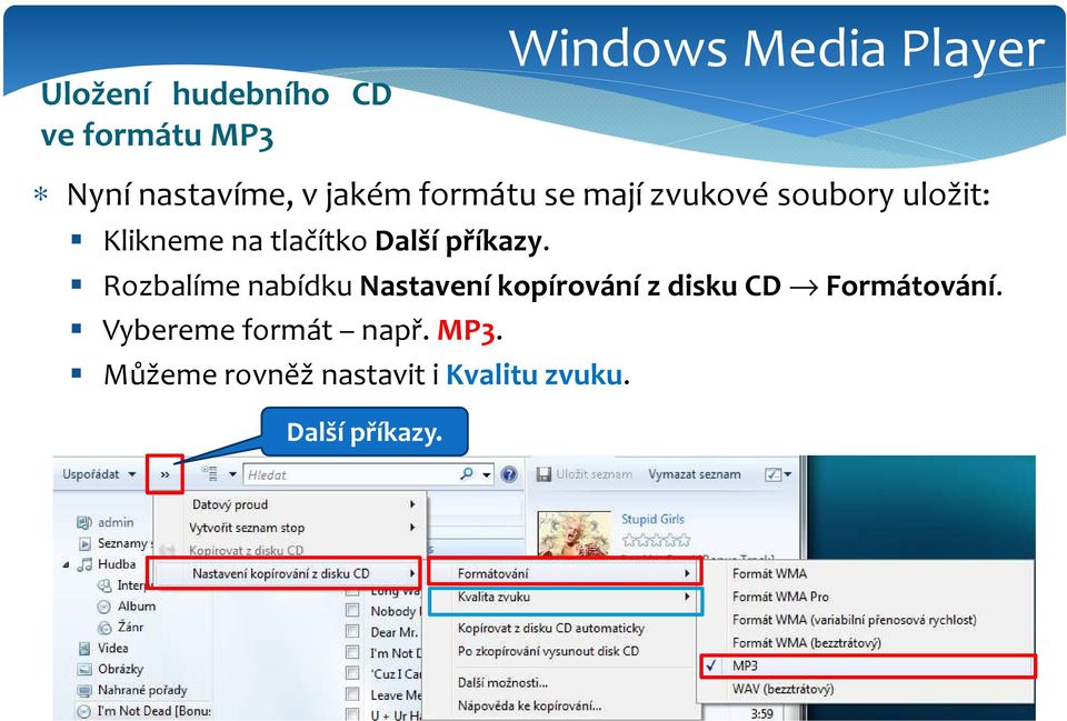 příkazy. Rozbalíme nabídku Nastavení kopírování z disku CD Formátování.