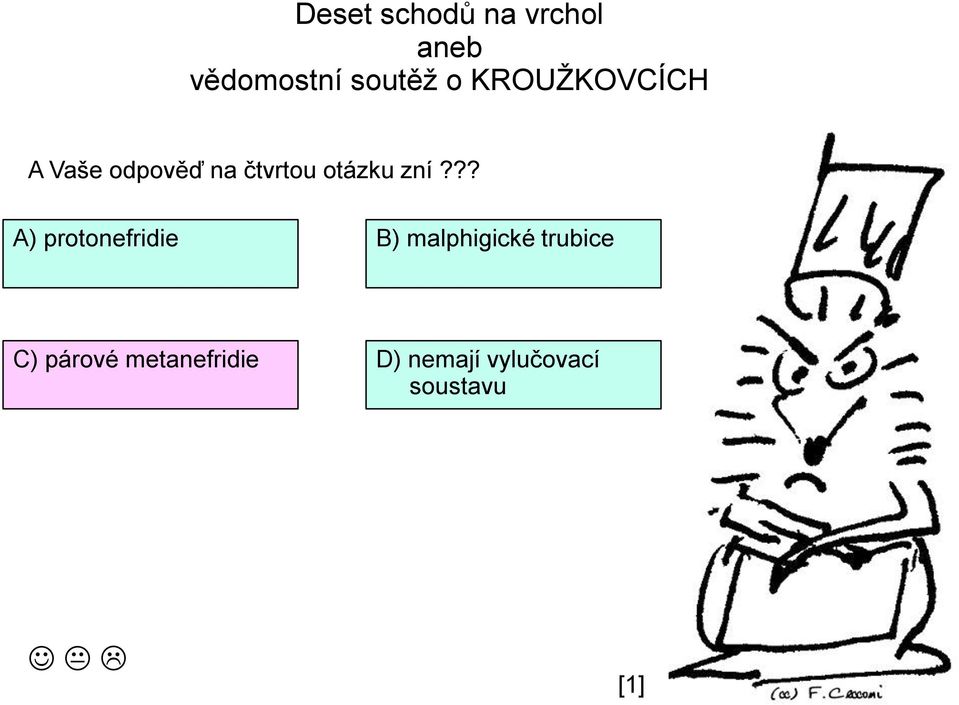 malphigické trubice C) párové