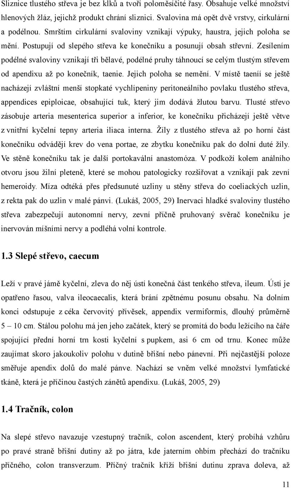 Zesílením podélné svaloviny vznikají tři bělavé, podélné pruhy táhnoucí se celým tlustým střevem od apendixu až po konečník, taenie. Jejich poloha se nemění.