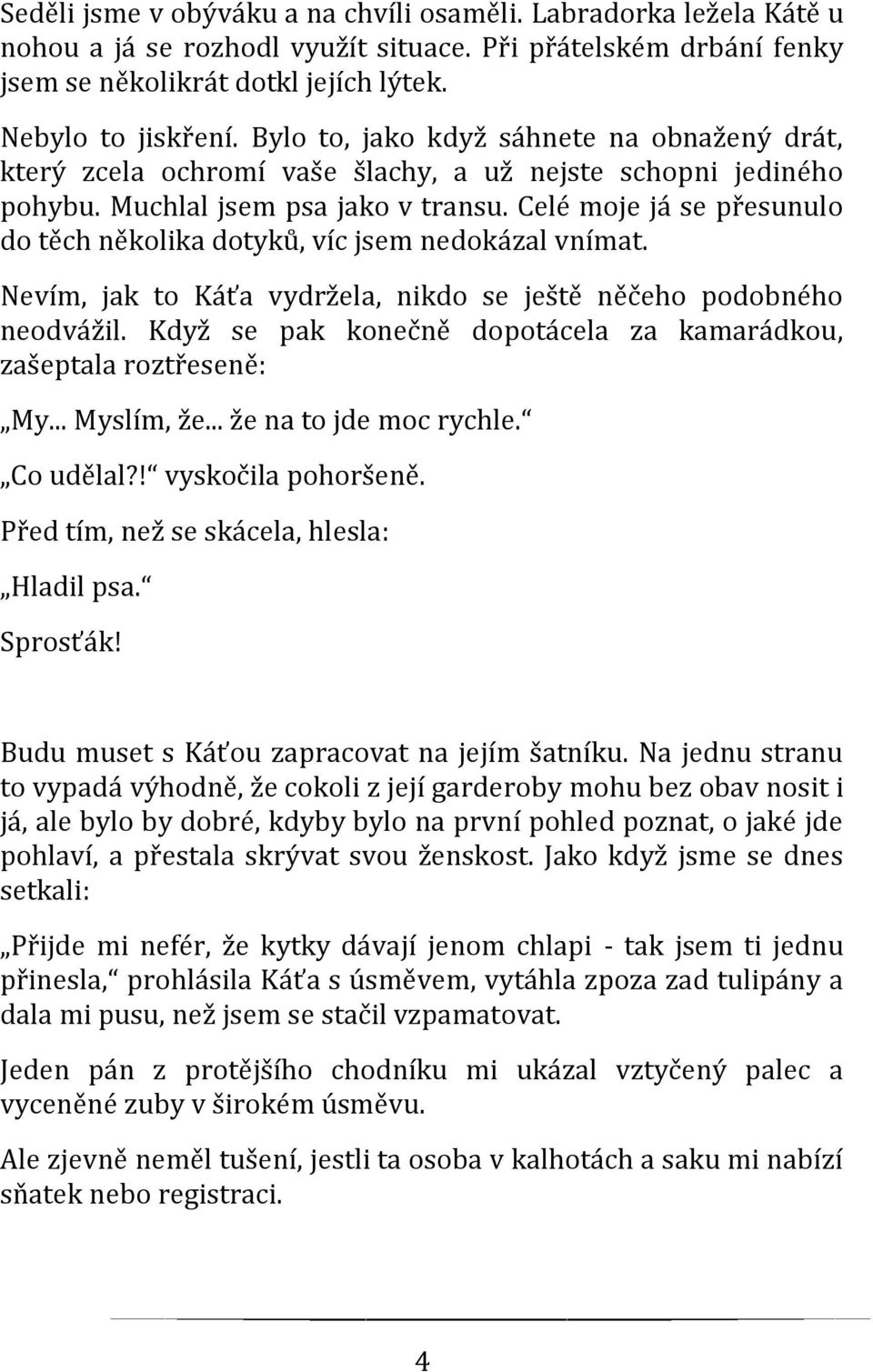 Celé moje já se přesunulo do těch několika dotyků, víc jsem nedokázal vnímat. Nevím, jak to Káťa vydržela, nikdo se ještě něčeho podobného neodvážil.