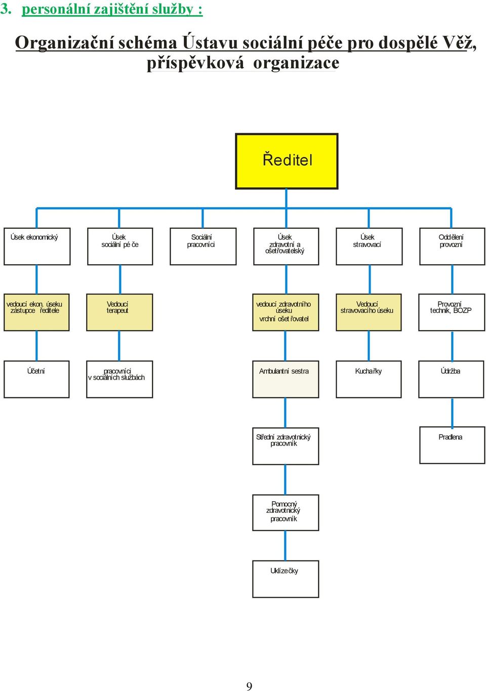 úseku zástupce ředitele Vedoucí terapeut vedoucí zdravotního úseku vrchní ošet řovatel Vedoucí stravovacího úseku Provozní technik, BOZP