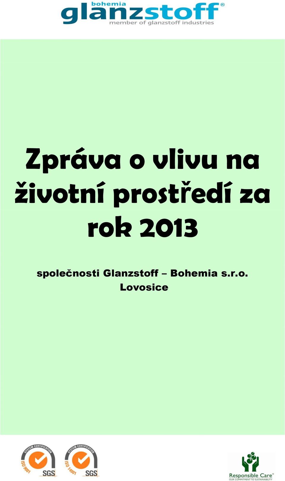 rok 2013 společnosti