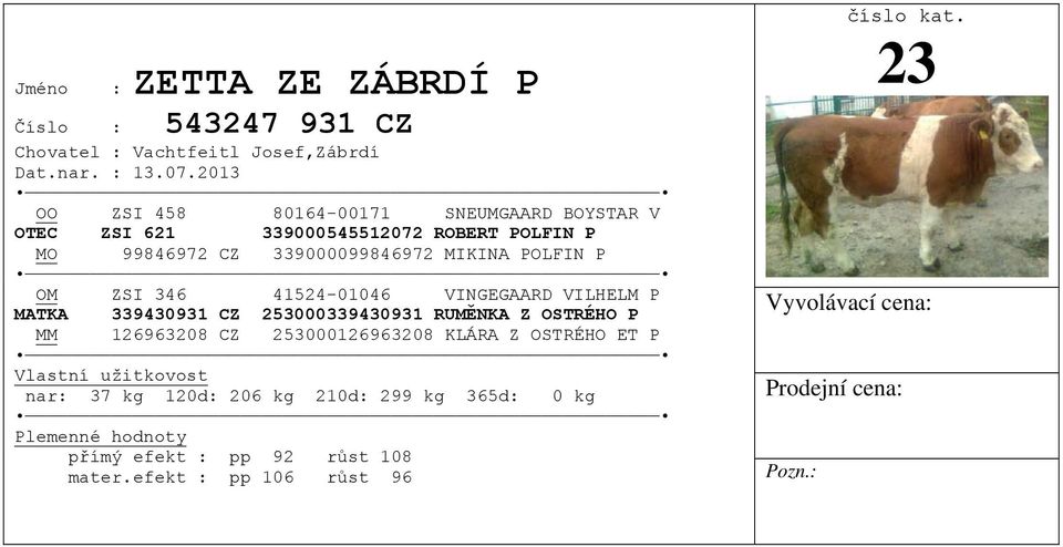 339000099846972 MIKINA POLFIN P OM ZSI 346 41524-01046 VINGEGAARD VILHELM P MATKA 339430931 CZ 253000339430931 RUMĚNKA Z