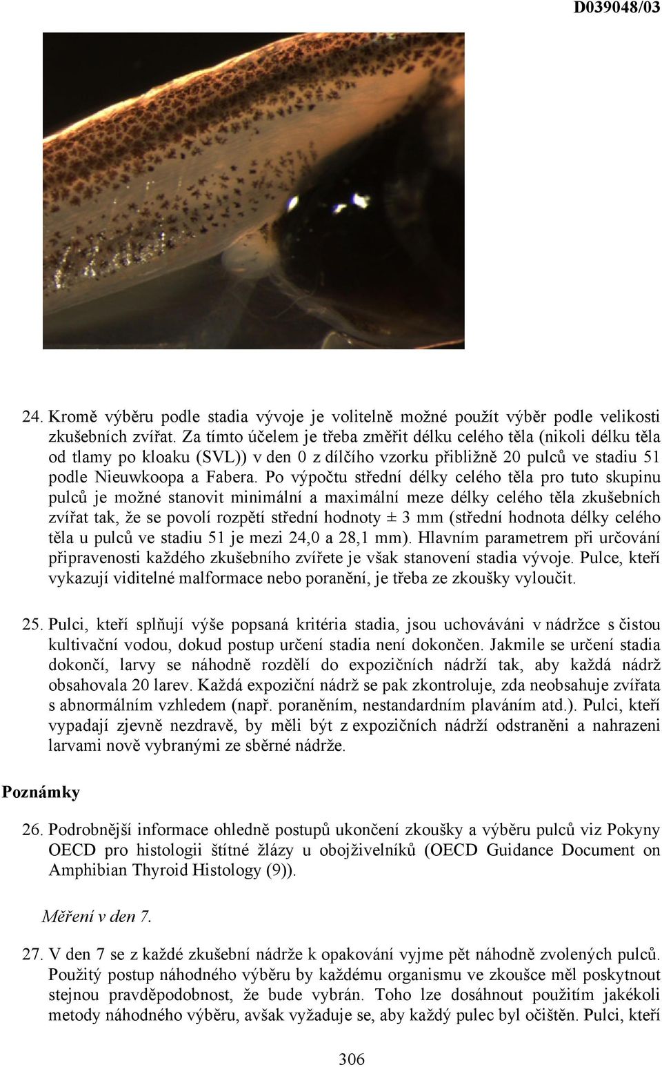 Po výpočtu střední délky celého těla pro tuto skupinu pulců je možné stanovit minimální a maximální meze délky celého těla zkušebních zvířat tak, že se povolí rozpětí střední hodnoty ± 3 mm (střední