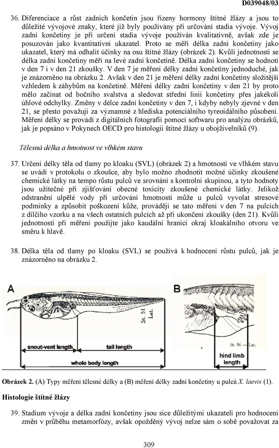 Proto se měří délka zadní končetiny jako ukazatel, který má odhalit účinky na osu štítné žlázy (obrázek 2). Kvůli jednotnosti se délka zadní končetiny měří na levé zadní končetině.