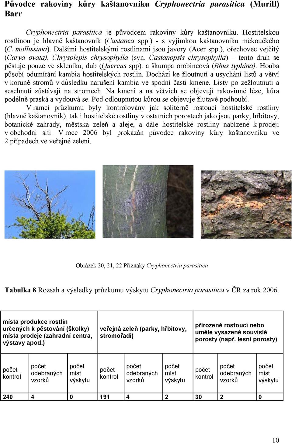 Castanopsis chrysophylla) tento druh se pěstuje pouze ve skleníku, dub (Quercus spp). a škumpa orobincová (Rhus typhina). Houba působí odumírání kambia hostitelských rostlin.