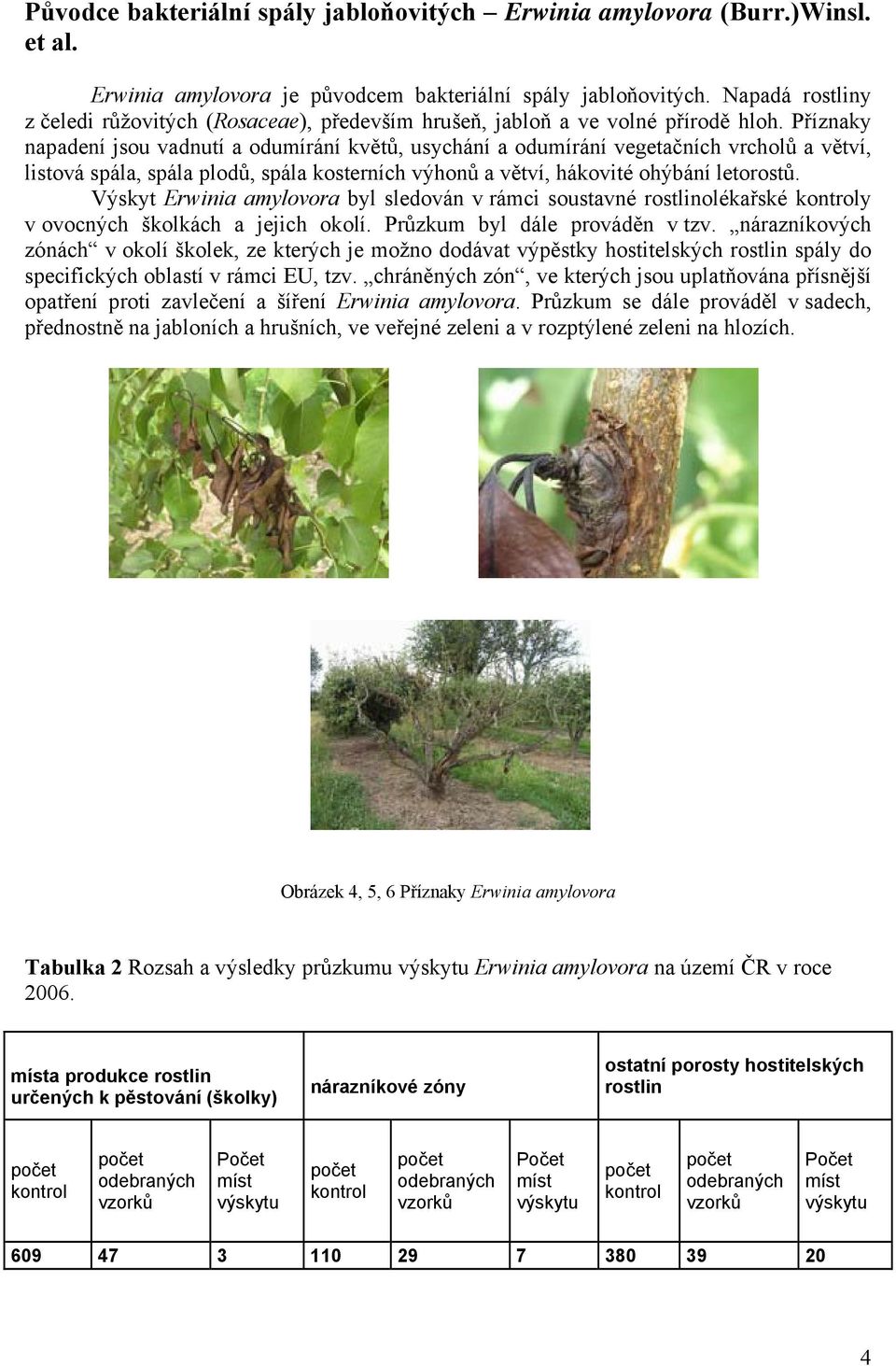 Příznaky napadení jsou vadnutí a odumírání květů, usychání a odumírání vegetačních vrcholů a větví, listová spála, spála plodů, spála kosterních výhonů a větví, hákovité ohýbání letorostů.