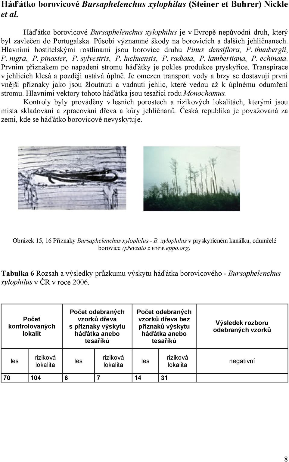 luchuensis, P. radiata, P. lambertiana, P. echinata. Prvním příznakem po napadení stromu háďátky je pokles produkce pryskyřice. Transpirace v jehlicích klesá a později ustává úplně.