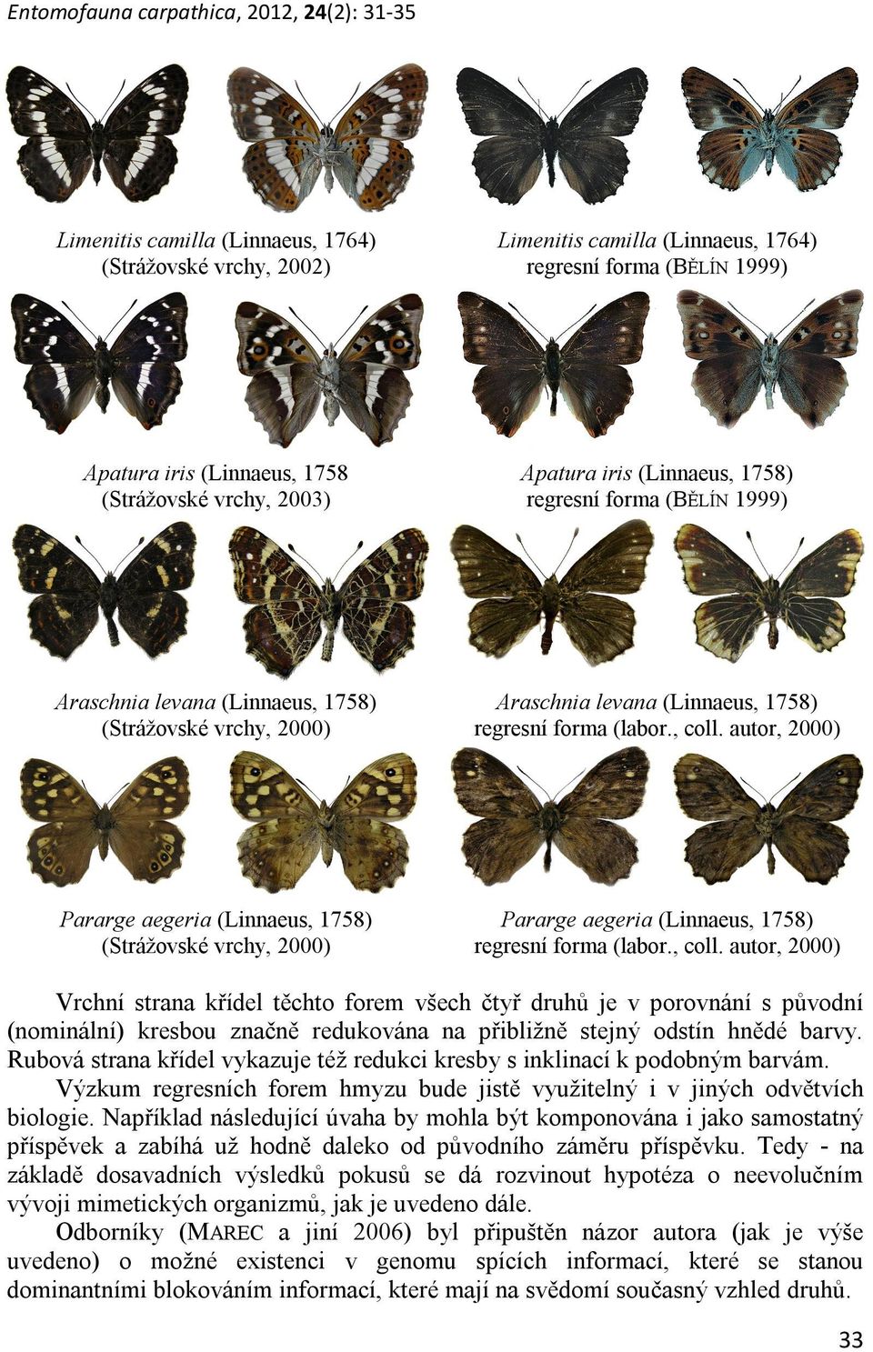 , coll. autor, 2000) Pararge aegeria (Linnaeus, 1758) (Strážovské vrchy, 2000) Pararge aegeria (Linnaeus, 1758) regresní forma (labor., coll. autor, 2000) Vrchní strana křídel těchto forem všech čtyř druhů je v porovnání s původní (nominální) kresbou značně redukována na přibližně stejný odstín hnědé barvy.