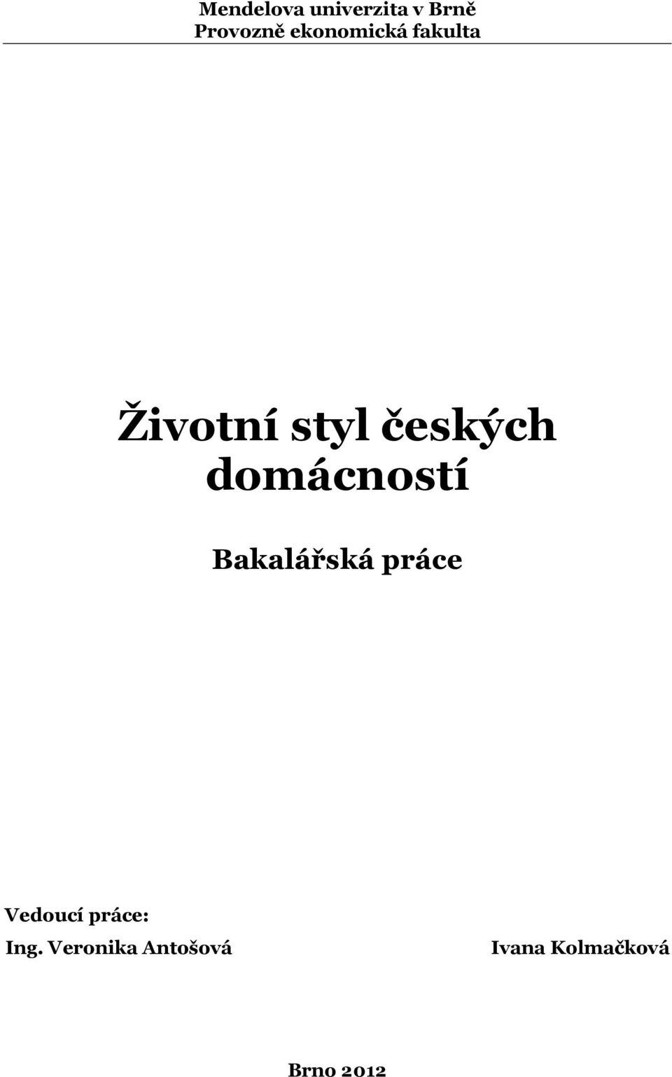 domácností Bakalářská práce Vedoucí práce:
