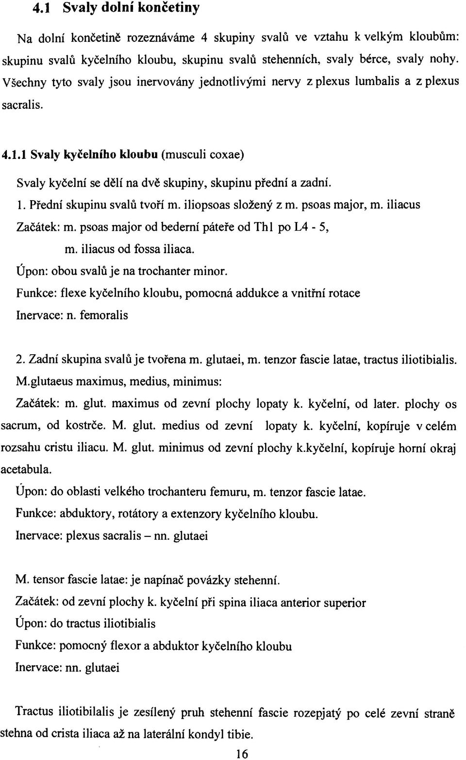 1. Přední skupinu svalů tvoří m. iliopsoas složený z m. psoas major, m. iliacus Začátek: m. psoas major od bederní páteře od Thl po L4-5, m. iliacus od fossa iliaca.