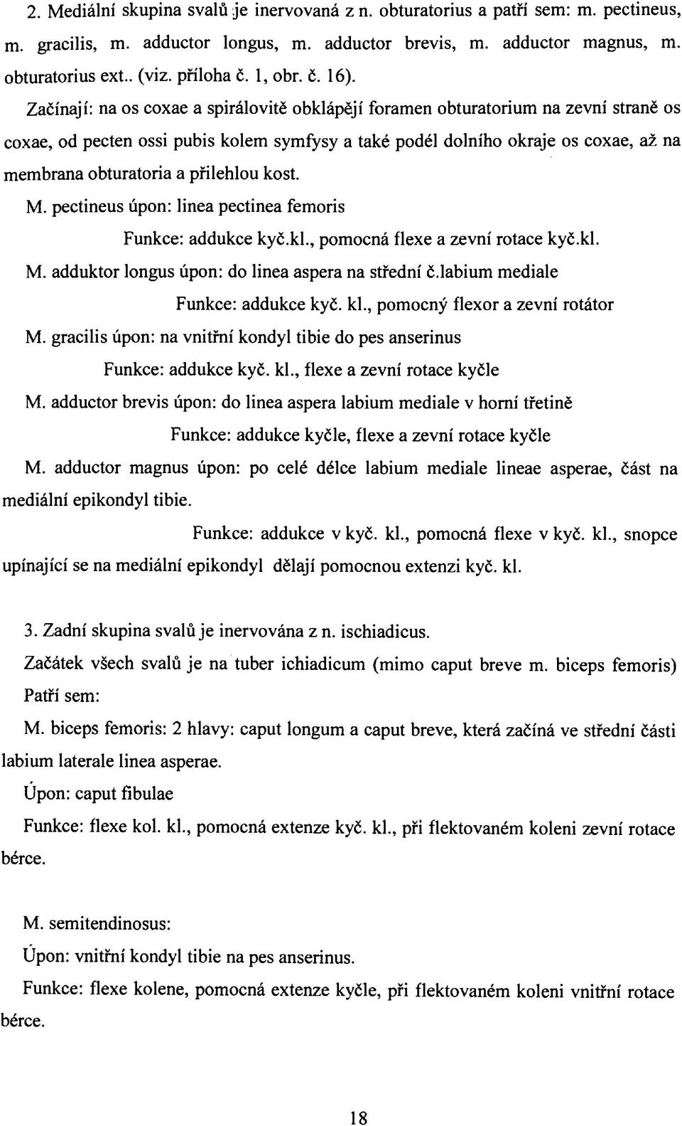 Začínají: na os coxae a spirálovitě obklápějí foramen obturatorium na zevní straně os coxae, od pecten ossi pubis kolem symfysy a také podél dolního okraje os coxae, až na membrana obturatoria a