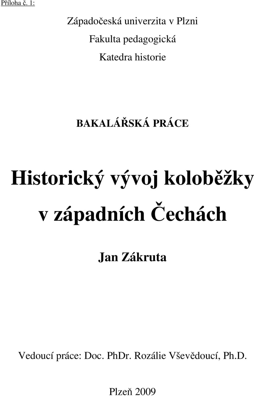 Katedra historie BAKALÁŘSKÁ PRÁCE Historický vývoj