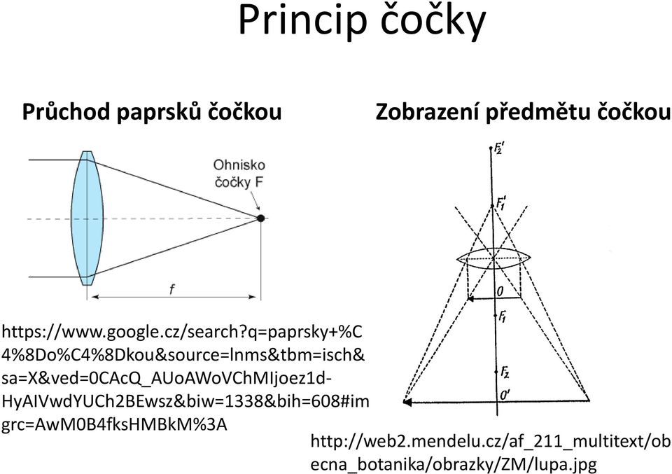 q=paprsky+%c 4%8Do%C4%8Dkou&source=lnms&tbm=isch&