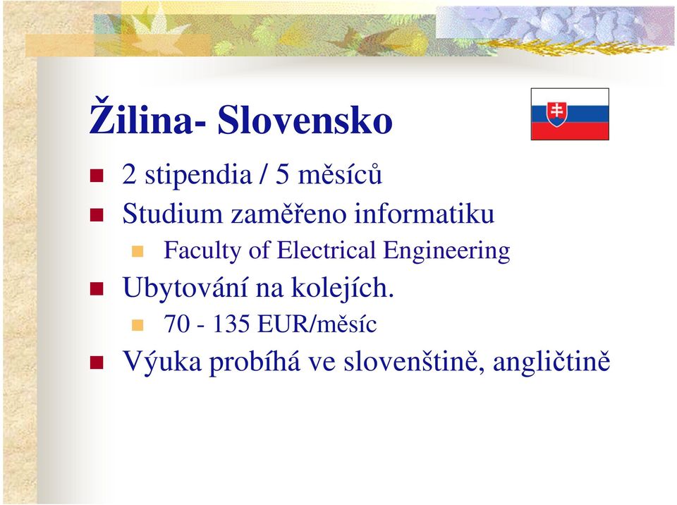 Electrical Engineering Ubytování na kolejích.