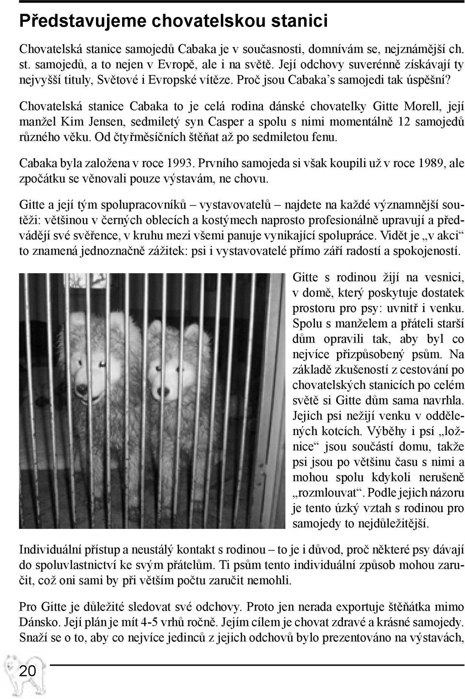 Chovatelská stanice Cabaka to je celá rodina dánské chovatelky Gitte Morell, její manžel Kim Jensen, sedmiletý syn Casper a spolu s nimi momentálně 12 samojedů různého věku.