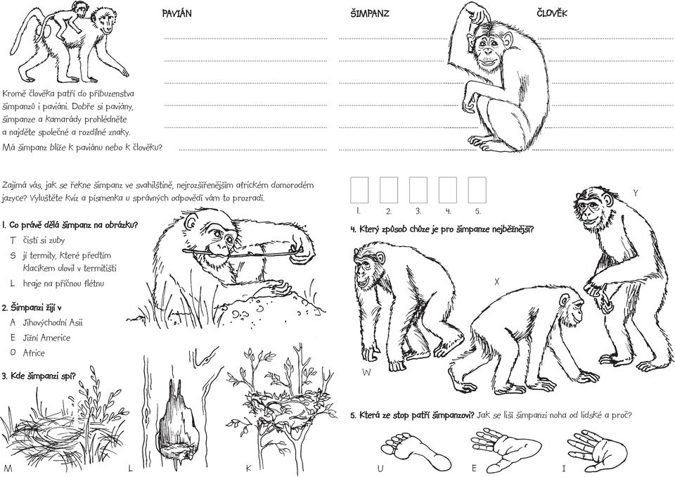Vyluštěte kvíz a písmenka u správných odpovědí vám to prozradí. 1. Co právě dělá šimpanz na obrázku?