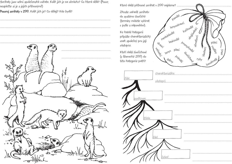 Ke každé kategorii připište charakteristický znak společný pro její zástupce. Kteří další živočichové (z liberecké ZOO) do této kategorie patří?