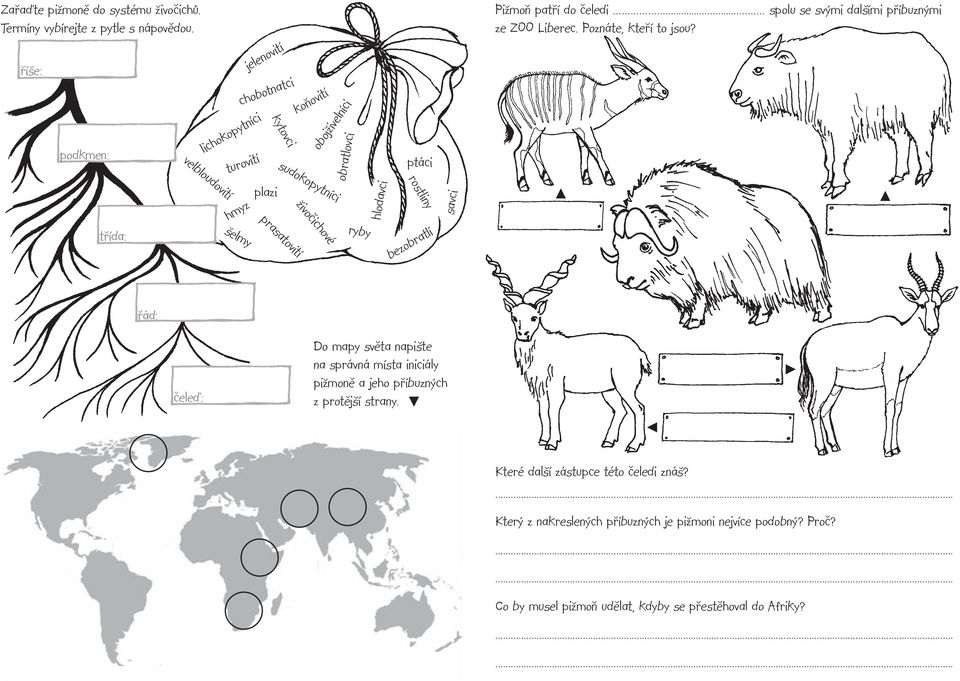 obojživelníci ryby hlodavci ptáci rostliny bezobratlí savci Pižmoň patří do čeledi...... spolu se svými dalšími příbuznými ze ZOO Liberec. Poznáte, kteří to jsou?