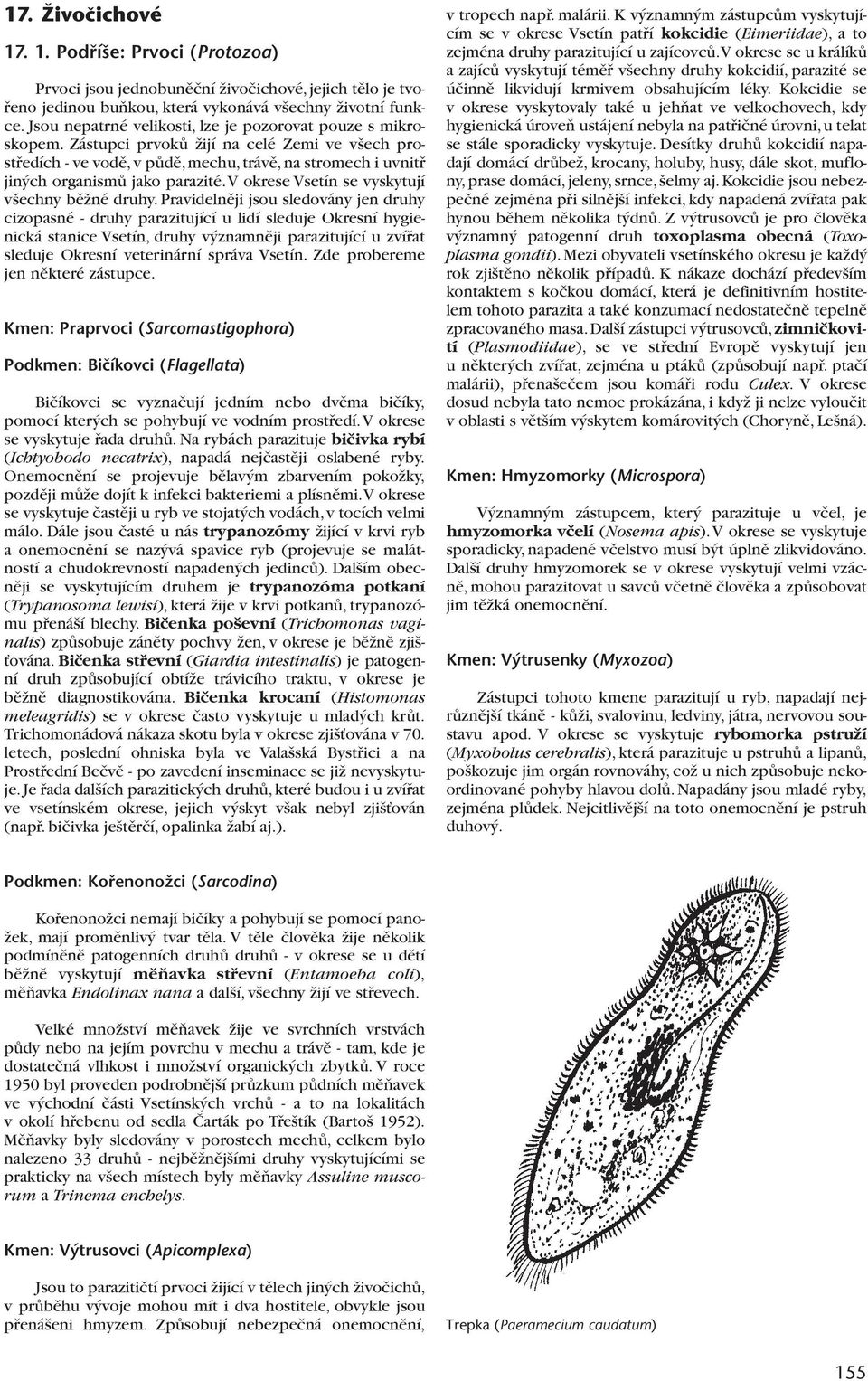 Zástupci prvokû Ïijí na celé Zemi ve v ech prostfiedích - ve vodû,v pûdû,mechu,trávû,na stromech i uvnitfi jin ch organismû jako parazité. V okrese Vsetín se vyskytují v echny bûïné druhy.