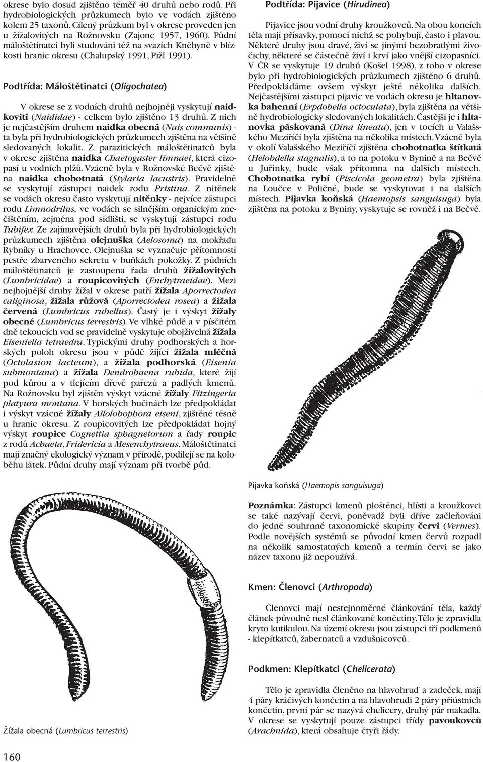 PÛdní málo tûtinatci byli studováni téï na svazích Knûhynû v blízkosti hranic okresu (Chalupsk 1991, PiÏl 1991).