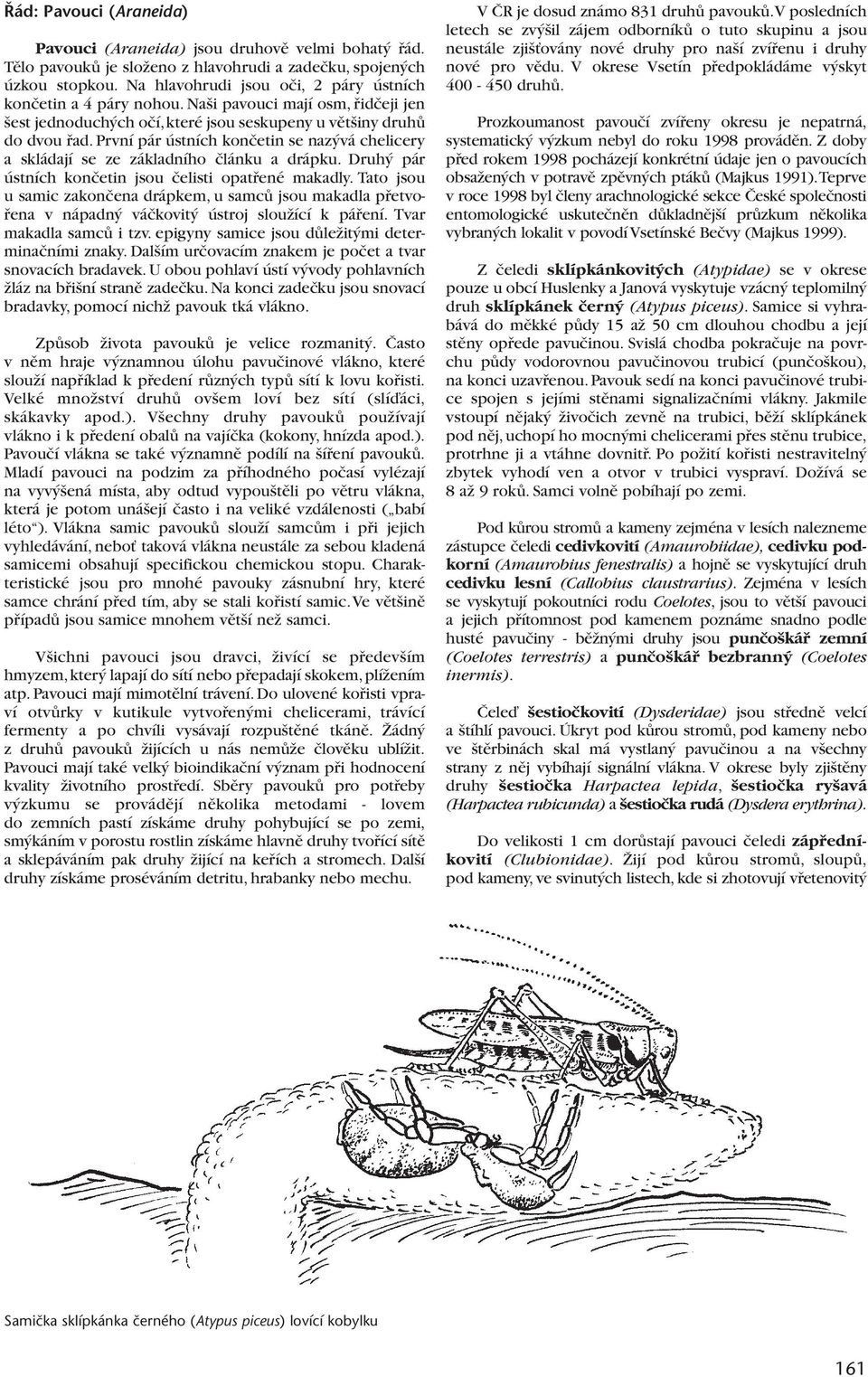 První pár ústních konãetin se naz vá chelicery a skládají se ze základního ãlánku a drápku. Druh pár ústních konãetin jsou ãelisti opatfiené makadly.