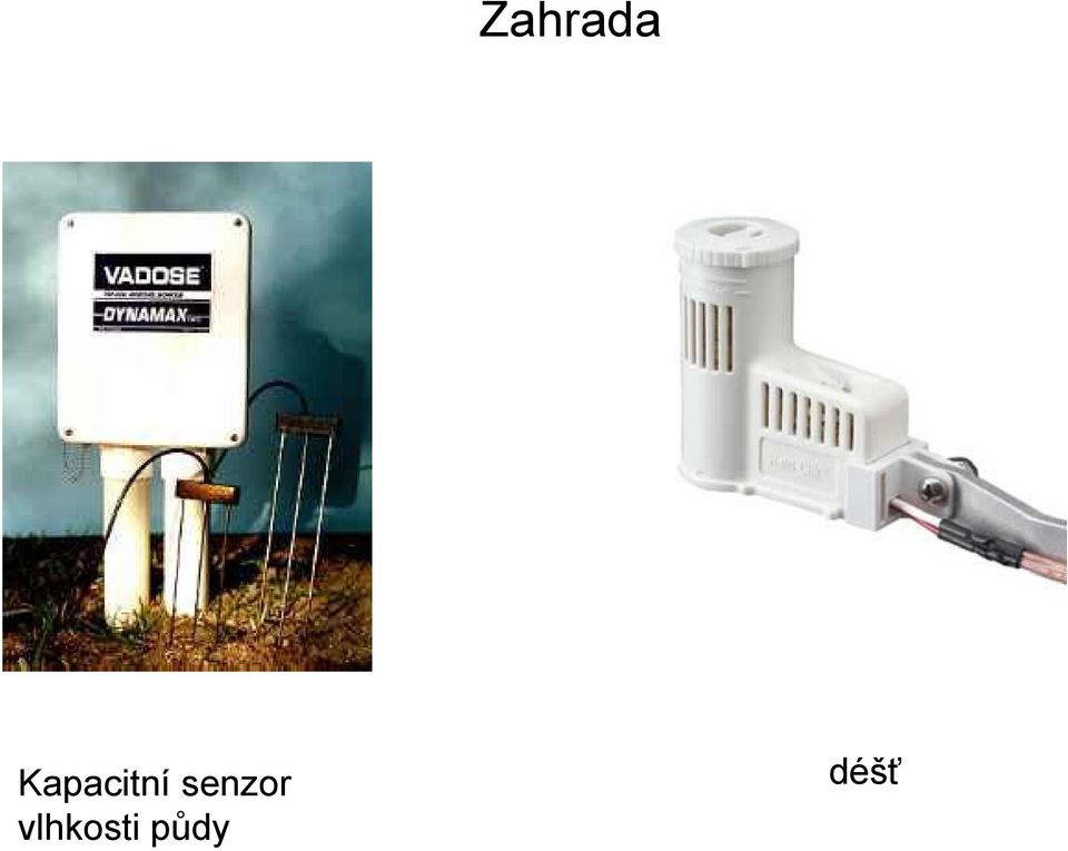 senzor