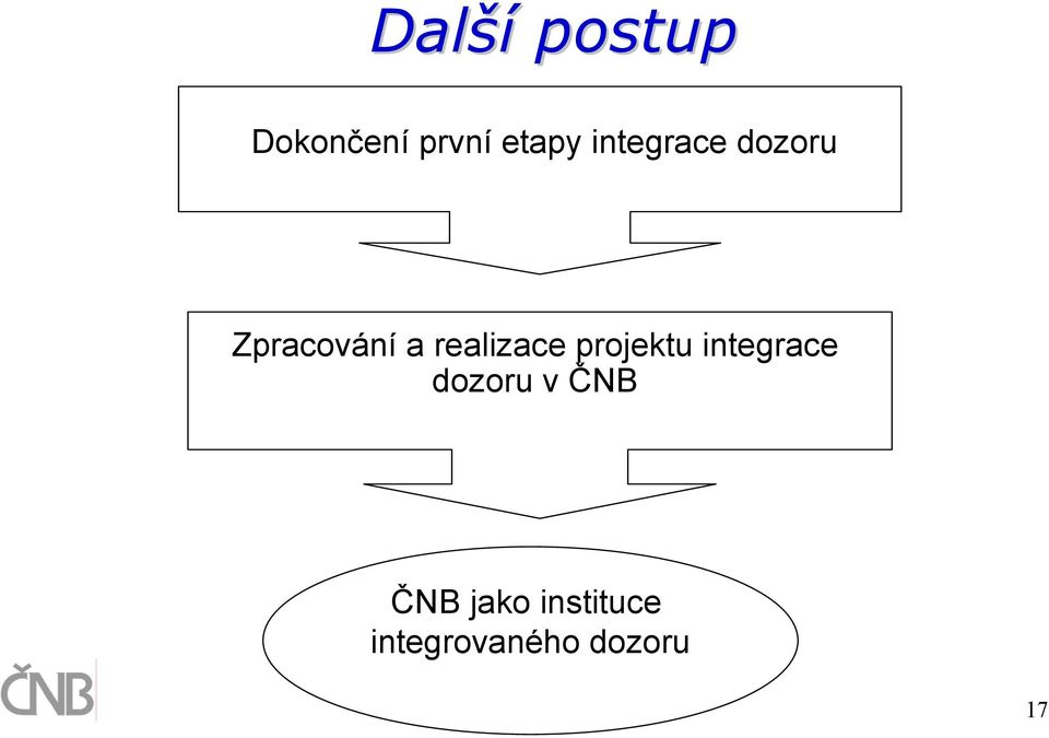 realizace projektu integrace dozoru v