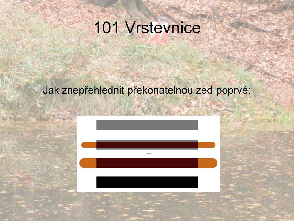 znepřehlednit