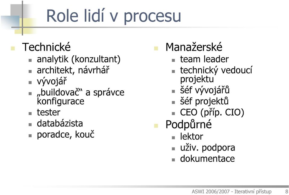 team leader technický vedoucí projektu šéf vývojářů šéf projektů CEO (příp.