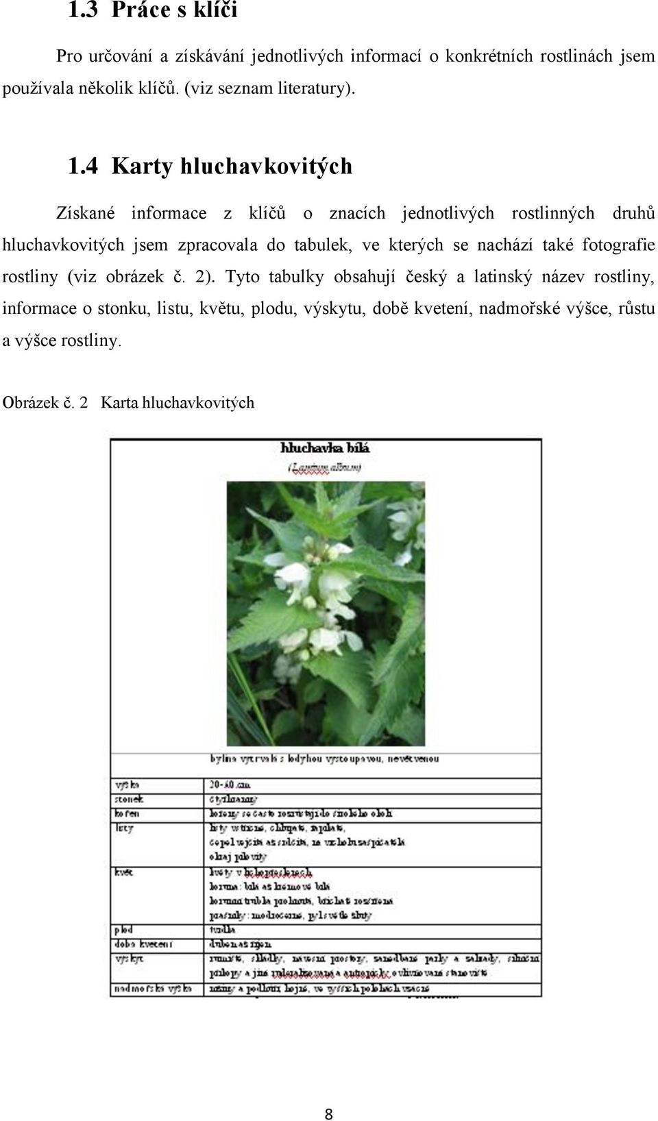 4 Karty hluchavkovitých Získané informace z klíčů o znacích jednotlivých rostlinných druhů hluchavkovitých jsem zpracovala do tabulek,