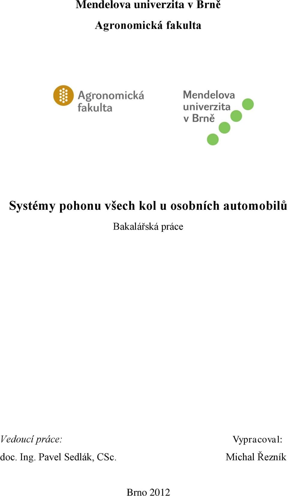 Bakalářská práce Vedoucí práce: doc. Ing.