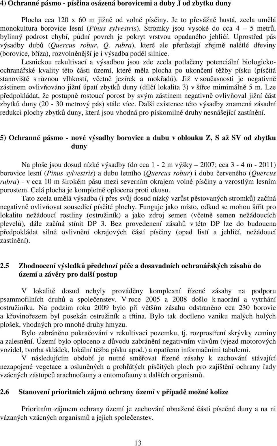 rubra), které ale přerůstají zřejmě nalétlé dřeviny (borovice, bříza), rozvolněnější je i výsadba podél silnice.