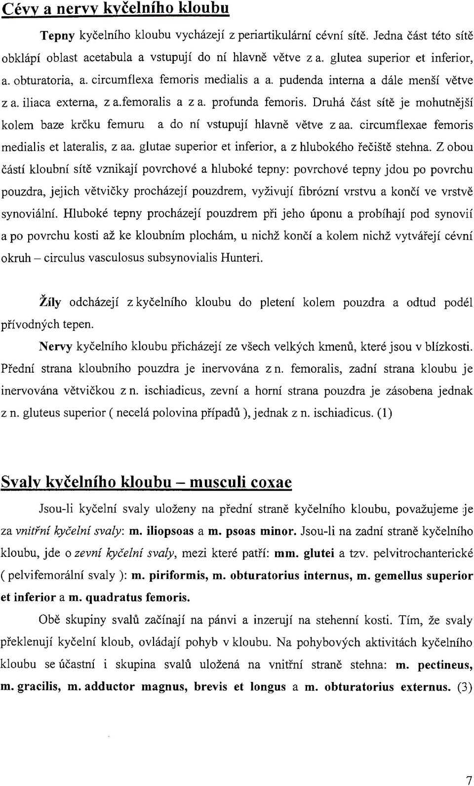 Druhá část sítě je mohutnější kolem baze krčku femuru a do ní vstupují hlavně větve z aa. circumflexae femoris medialis et lateralis, z aa. glutae superior et inferior, a z hlubokého řečiště stehna.