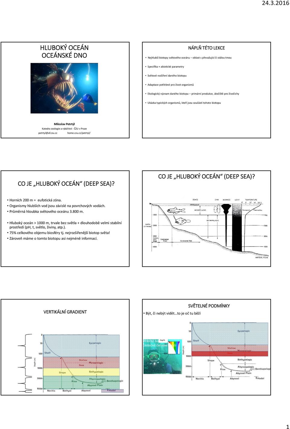 rybářství ČZU v Praze petrtyl@af.czu.cz home.czu.cz/petrtyl/ CO JE HLUBOKÝ OCEÁN (DEEP SEA)? CO JE HLUBOKÝ OCEÁN (DEEP SEA)? Horních 200 m = eufotická zóna.