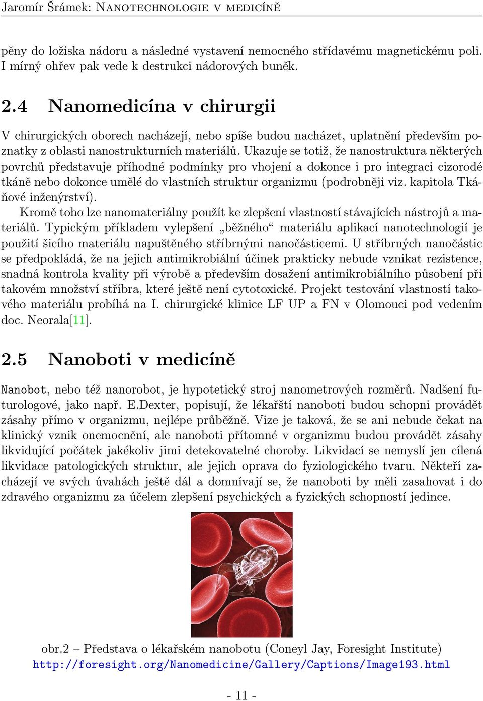 Ukazuje se totiž, že nanostruktura některých povrchů představuje příhodné podmínky pro vhojení a dokonce i pro integraci cizorodé tkáně nebo dokonce umělé do vlastních struktur organizmu (podrobněji