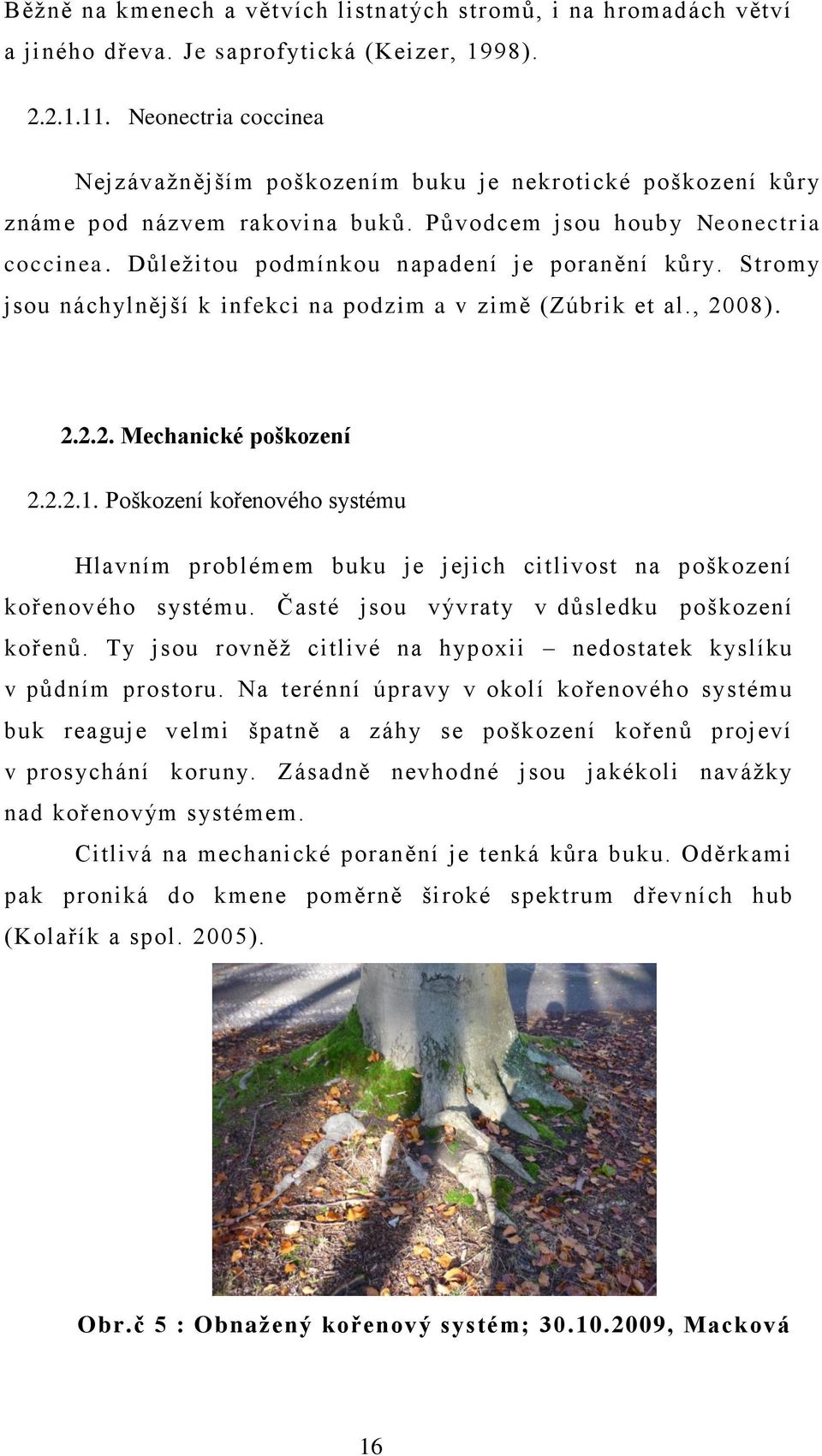 Stromy jsou náchylnější k infekci na podzim a v zimě (Zúbrik et al., 2008). 2.2.2. Mechanické poškození 2.2.2.1.