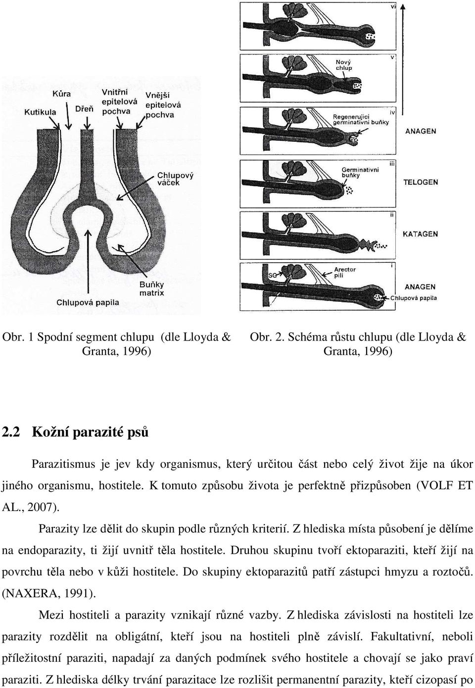 , 2007). Parazity lze dělit do skupin podle různých kriterií. Z hlediska místa působení je dělíme na endoparazity, ti žijí uvnitř těla hostitele.
