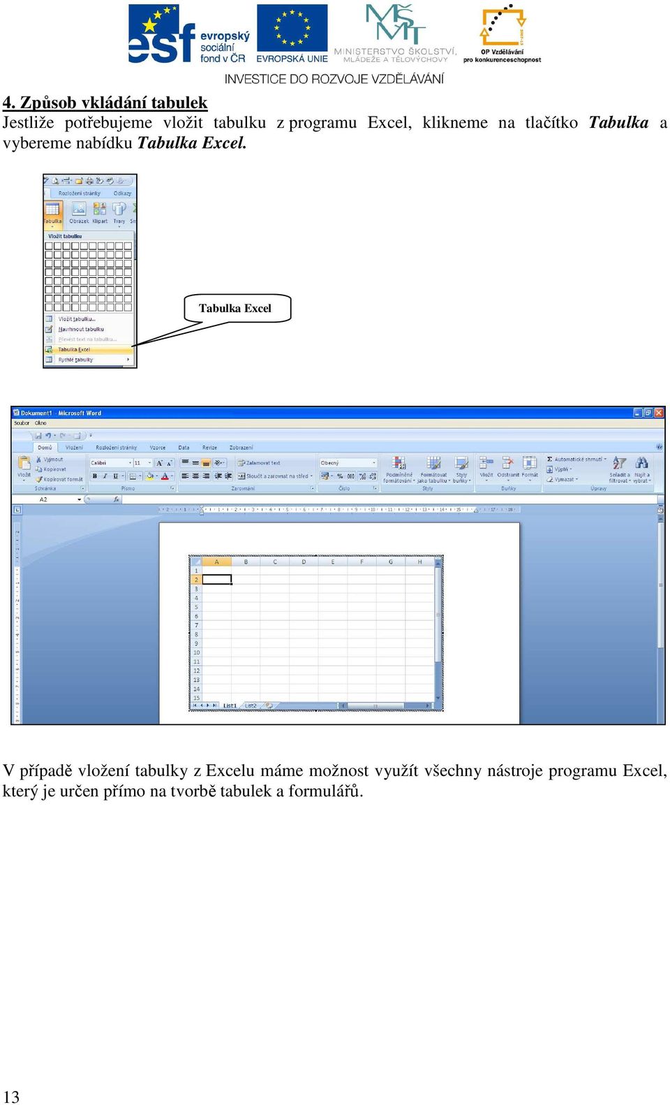 Tabulka Excel V případě vložení tabulky z Excelu máme možnost využít