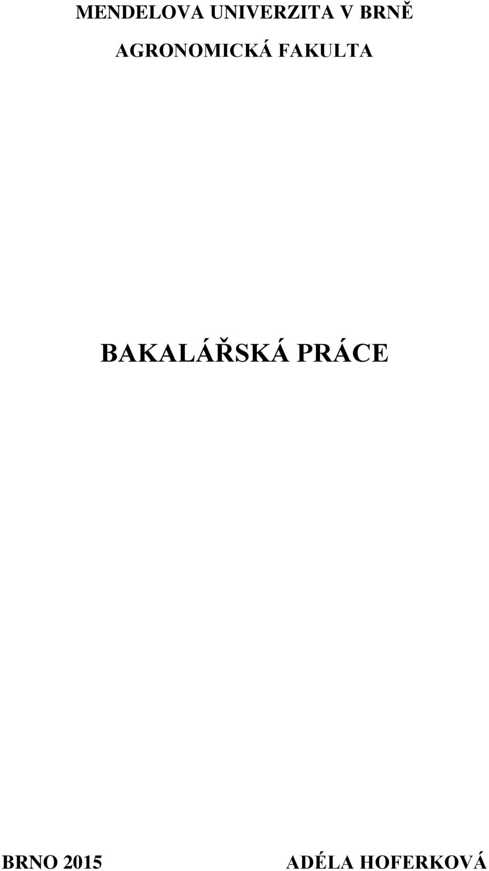 FAKULTA BAKALÁŘSKÁ