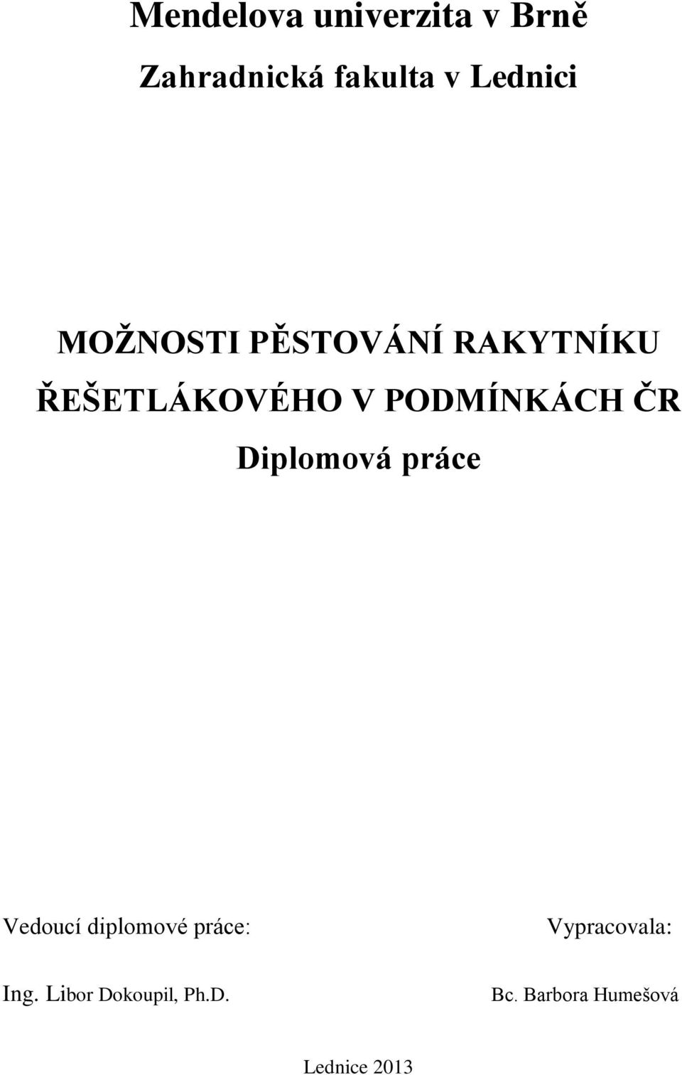 ČR Diplomová práce Vedoucí diplomové práce: Vypracovala:
