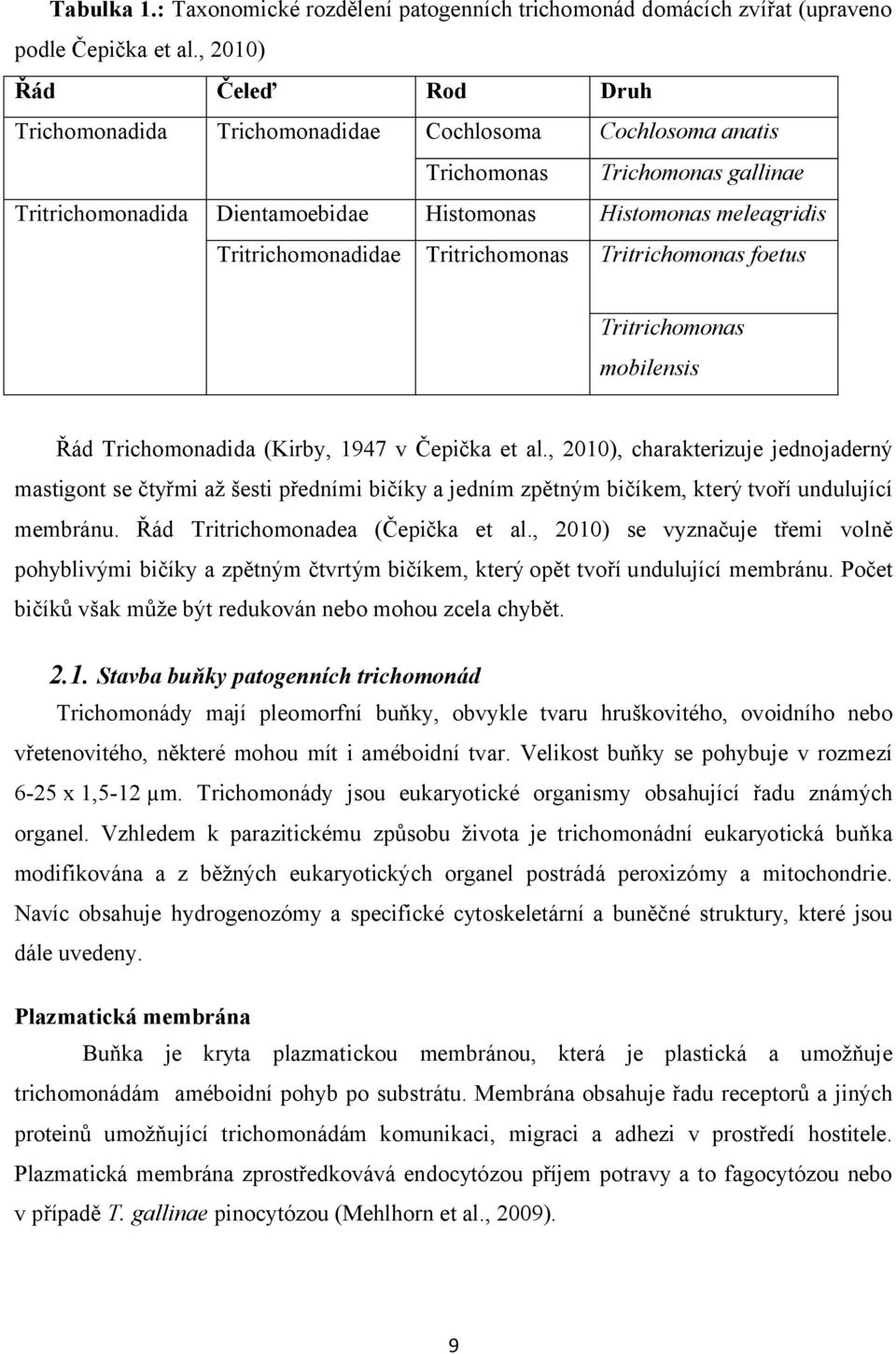 Tritrichomonadidae Tritrichomonas Tritrichomonas foetus Tritrichomonas mobilensis Řád Trichomonadida (Kirby, 1947 v Čepička et al.