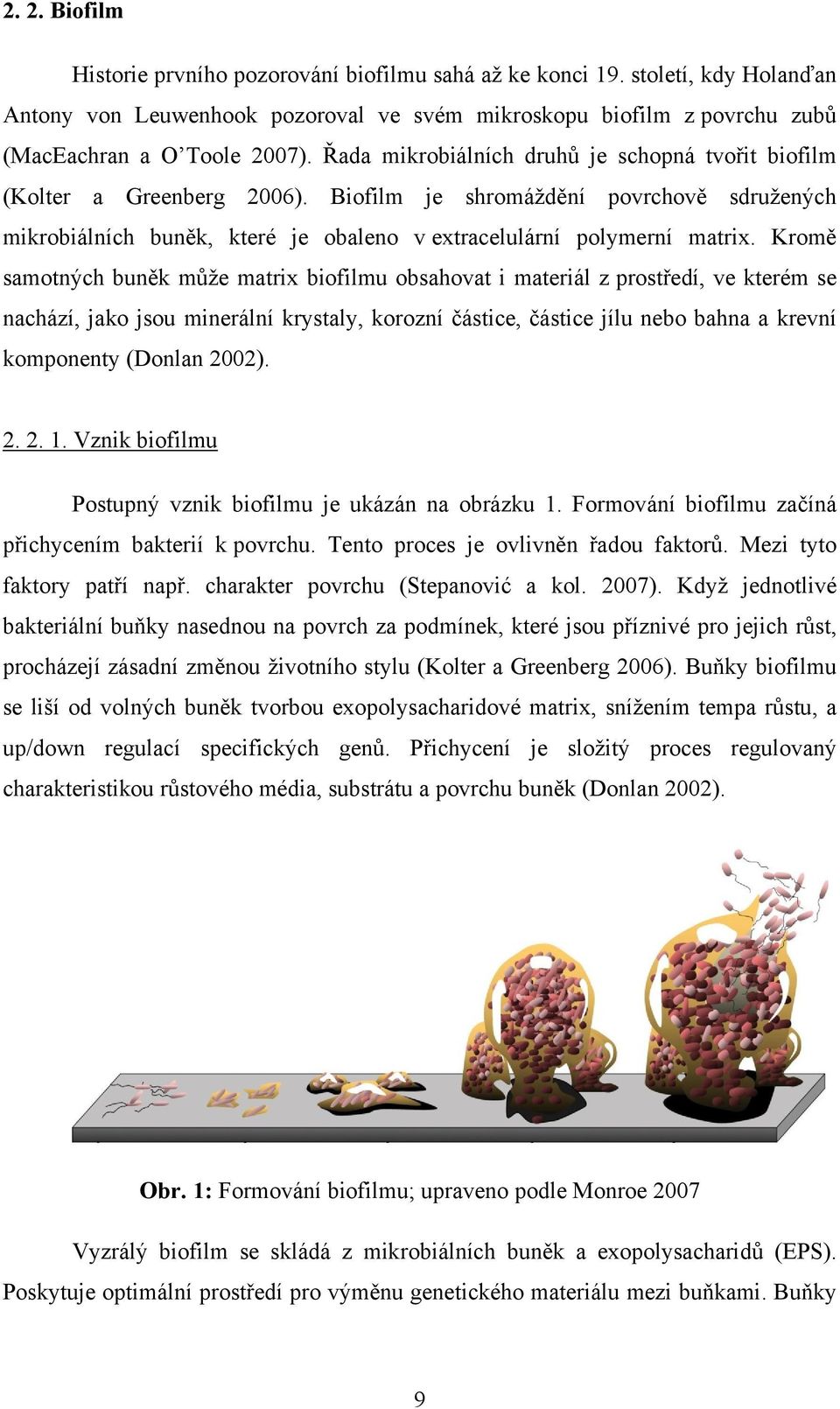 Kromě samotných buněk může matrix biofilmu obsahovat i materiál z prostředí, ve kterém se nachází, jako jsou minerální krystaly, korozní částice, částice jílu nebo bahna a krevní komponenty (Donlan
