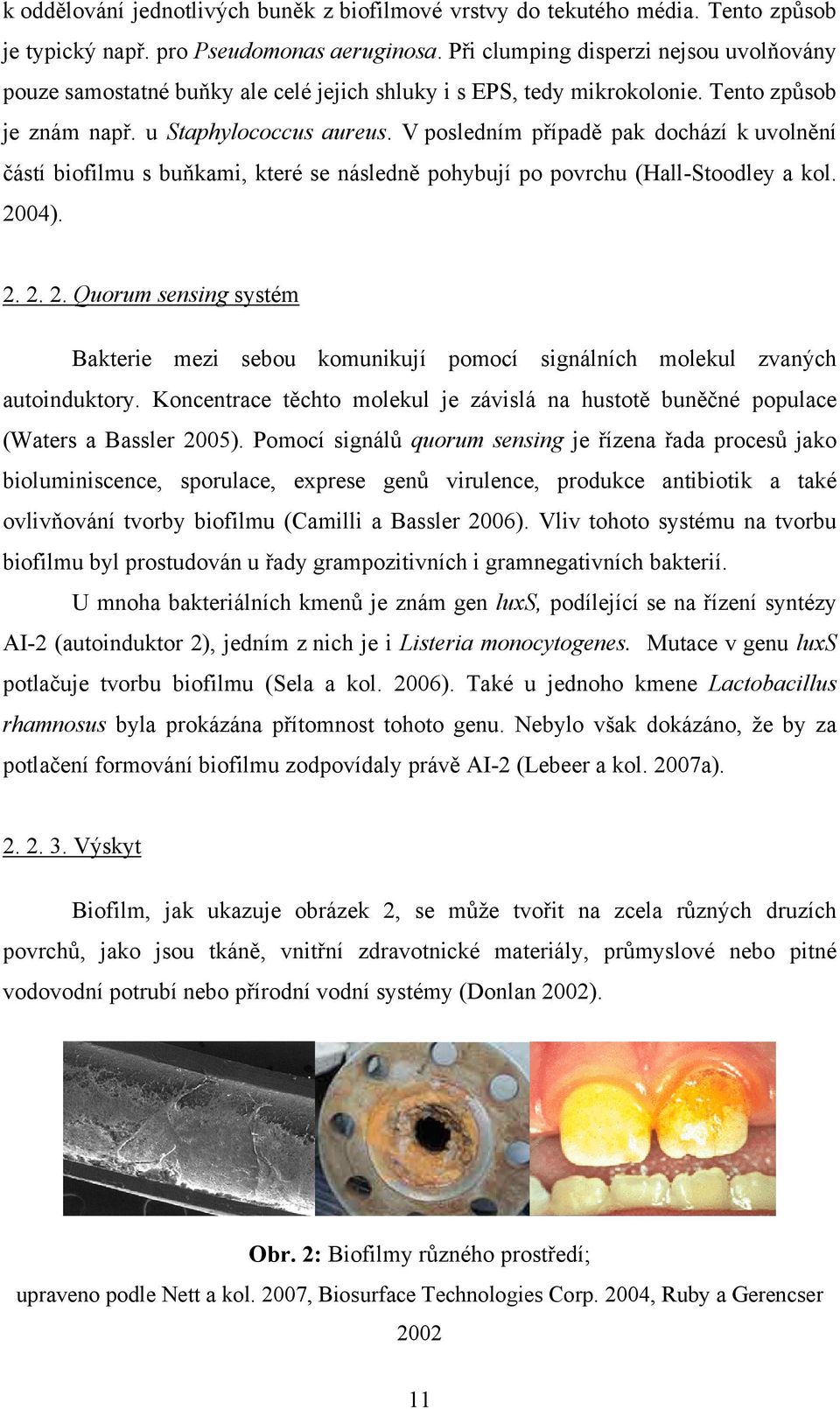 V posledním případě pak dochází k uvolnění částí biofilmu s buňkami, které se následně pohybují po povrchu (Hall-Stoodley a kol. 20
