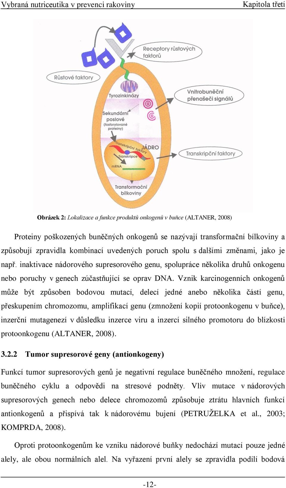 Vznik karcinogenních onkogenů může být způsoben bodovou mutací, delecí jedné anebo několika částí genu, přeskupením chromozomu, amplifikací genu (zmnožení kopií protoonkogenu v buňce), inzerční