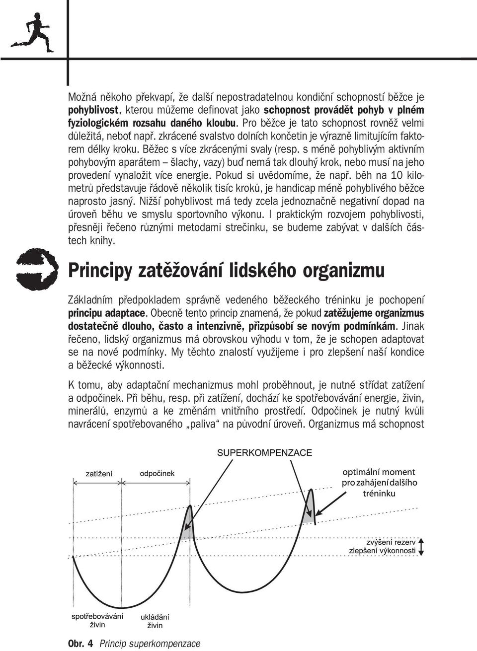 s méně pohyblivým aktivním pohybovým aparátem šlachy, vazy) buď nemá tak dlouhý krok, nebo musí na jeho provedení vynaložit více energie. Pokud si uvědomíme, že např.
