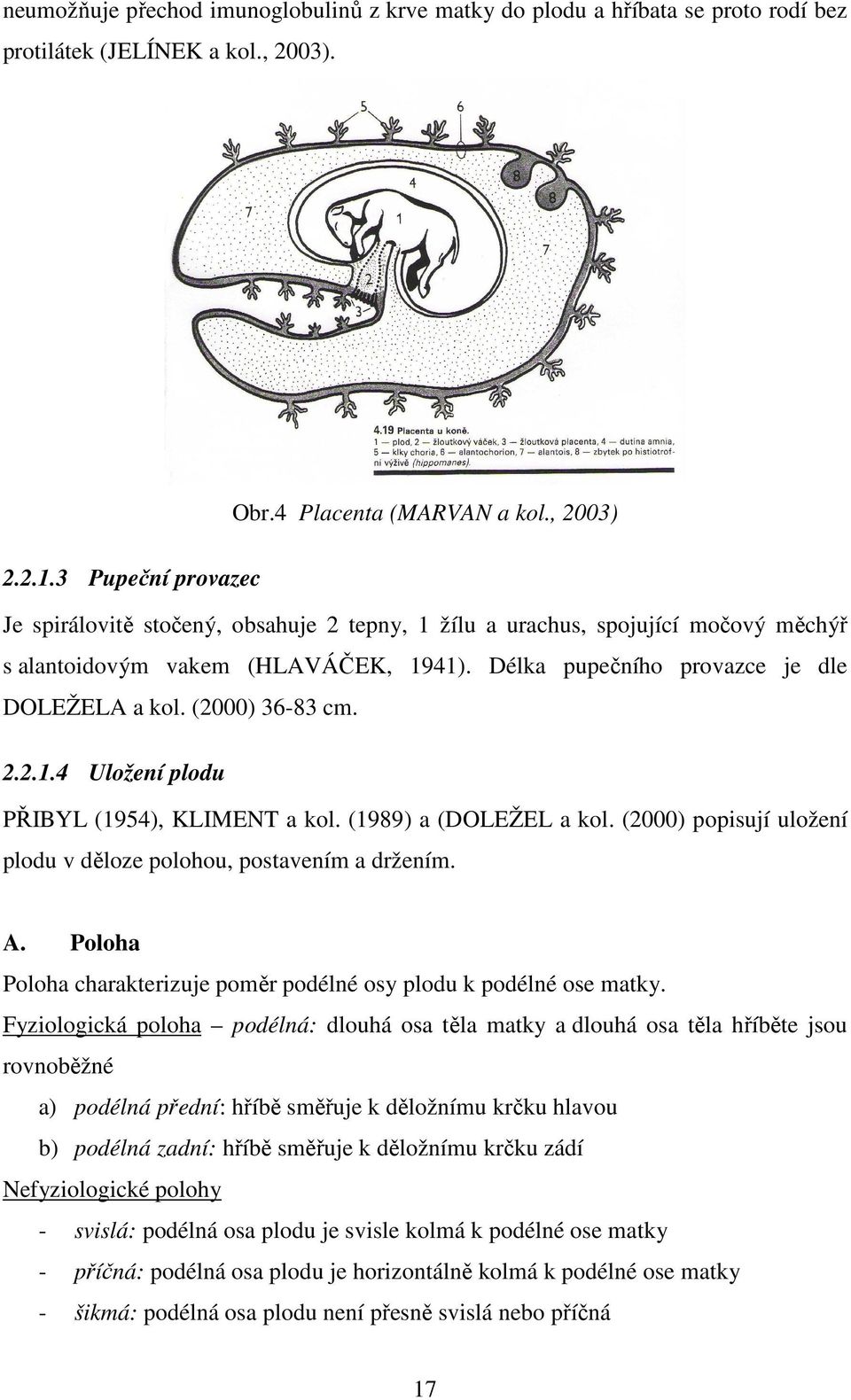 (2000) 36-83 cm. 2.2.1.4 Uložení plodu PŘIBYL (1954), KLIMENT a kol. (1989) a (DOLEŽEL a kol. (2000) popisují uložení plodu v děloze polohou, postavením a držením. A.