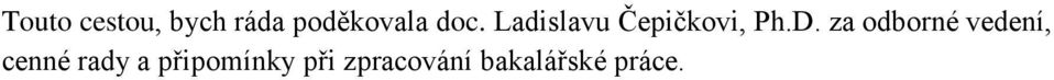 za odborné vedení, cenné rady a