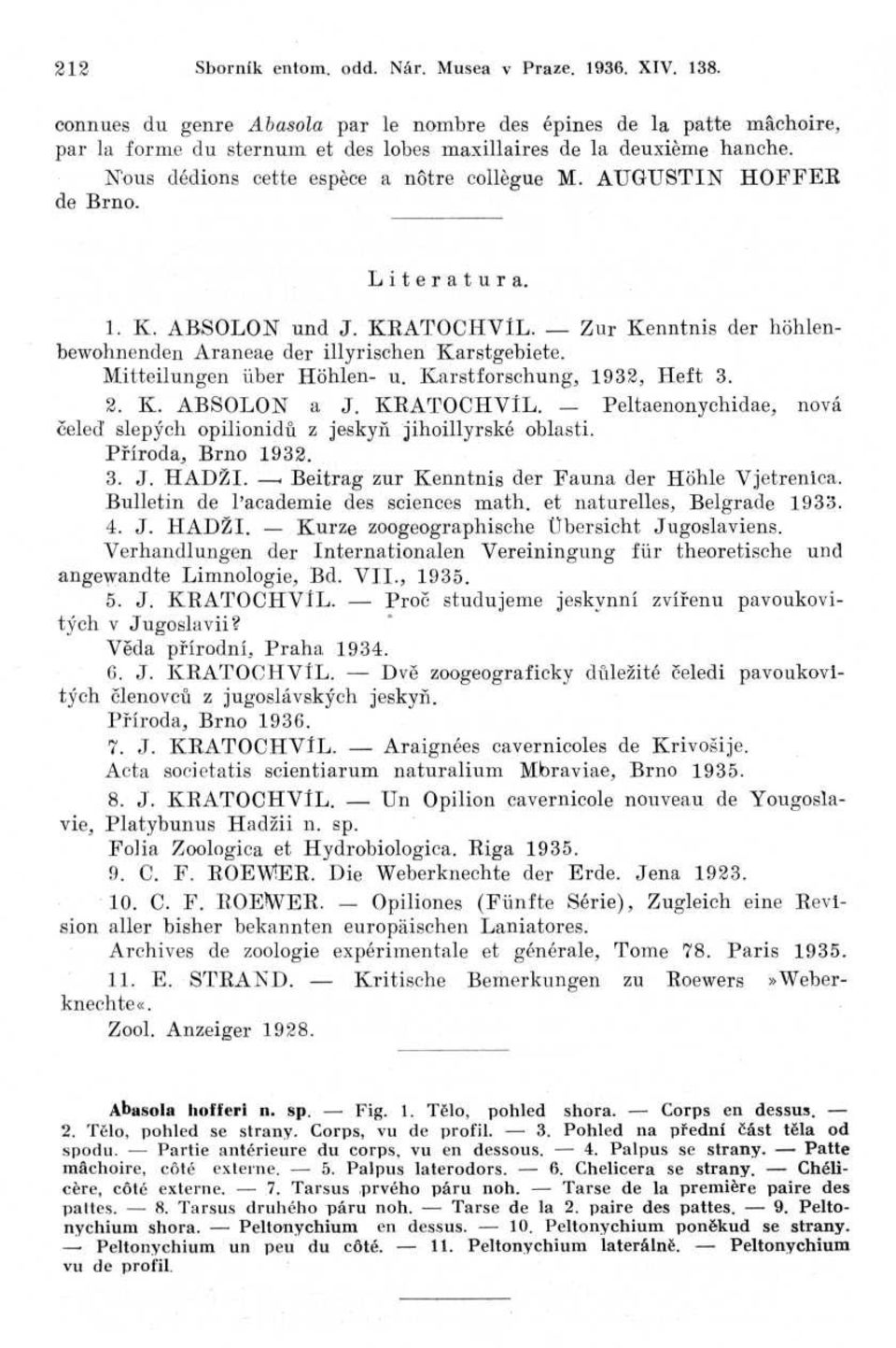 AUGUSTIN HOFFE R de Brno. Literatura. 1. K. ABSOLON und J. KRATOCHVÍL. Zur Kenntnis der höhlenbewollnenden Araneae der illyriscllen Karstgebiete. Mitteilungen liber Höhlen- u.